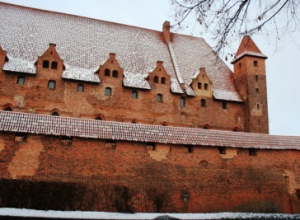 Литва-Польша - январь 2012 (Каунас-питомник Lordsett-Плоцк-Мальбор-Фромборк)