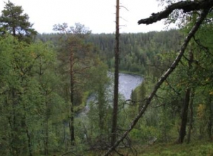 Финляндия (Оулу-Рованиеми-Куусамо-Национальный парк Оуланка) август 2009
